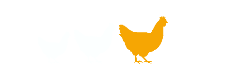 origine belgique